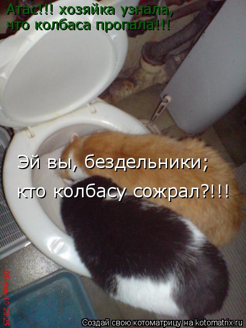 Атас!!! хозяйка узнала, что колбаса пропала!!! Эй вы, бездельники; кто колбасу сожрал?!!!... Котоматрица: Атас!!! хозяйка узнала, что колбаса пропала!!! Эй вы, бездельники; кто колбасу сожрал?!!!