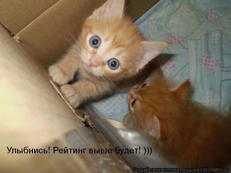 Улыбнись! Рейтинг выше будет! )))... Котоматрица: Улыбнись! Рейтинг выше будет! )))