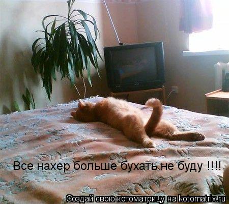 Все нахер больше бухать не буду !!!!... Котоматрица: Все нахер больше бухать не буду !!!!