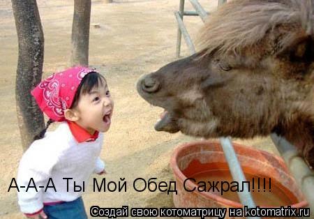 А-А-А Ты Мой Обед Сажрал!!!!... Котоматрица: А-А-А Ты Мой Обед Сажрал!!!!