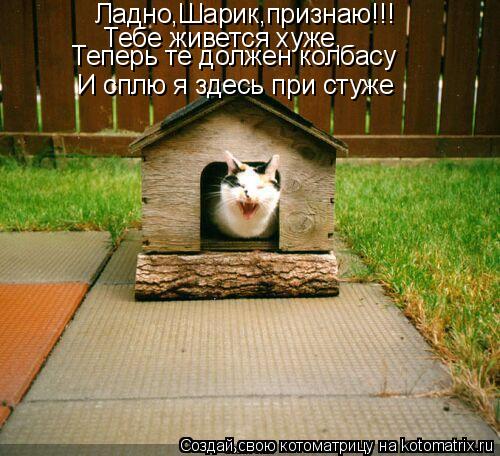 Котоматрица: Ладно,Шарик,признаю!!! Тебе живется хуже, Теперь те должен колбасу И сплю я здесь при стуже