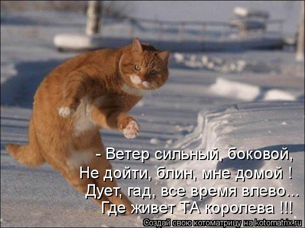 - Ветер сильный, боковой, Не дойти, блин, мне домой ! Дует, гад, все время влево... Где живет ТА коро... Котоматрица: - Ветер сильный, боковой, Не дойти, блин, мне домой ! Дует, гад, все время влево... Где живет ТА королева !!!