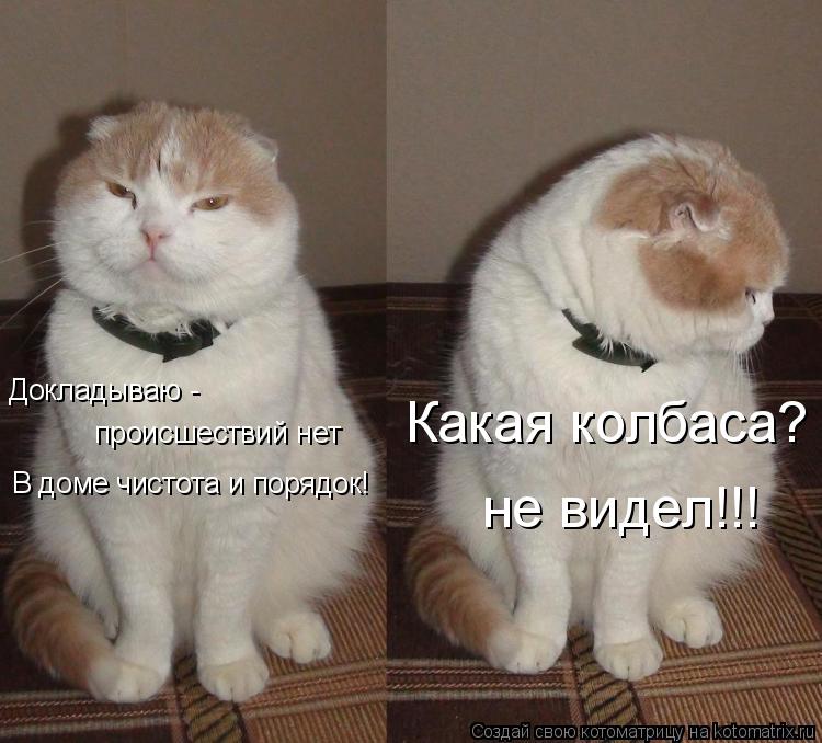 Котоматрица: Докладываю - происшествий нет В доме чистота и порядок! Какая колбаса? не видел!!!
