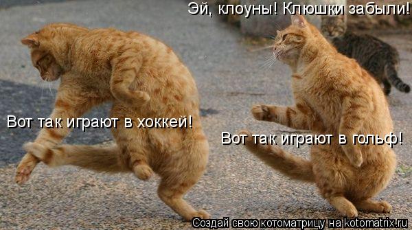 Вот так играют в хоккей! Вот так играют в гольф! Эй, клоуны! Клюшки забыли!... Котоматрица: Вот так играют в хоккей! Вот так играют в гольф! Эй, клоуны! Клюшки забыли!