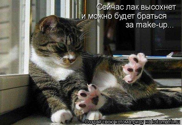 Котоматрица: Сейчас лак высохнет и можно будет браться  за make-up...