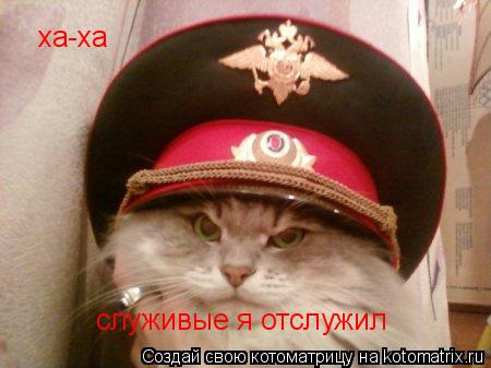Котоматрица: служивые я отслужил ха-ха