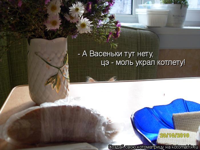 Котоматрица: - А Васеньки тут нету,  цэ - моль украл котлету!