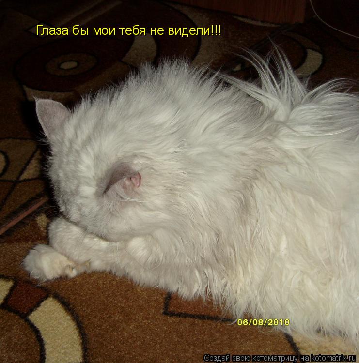 Котоматрица: Глаза бы мои тебя не видели!!!