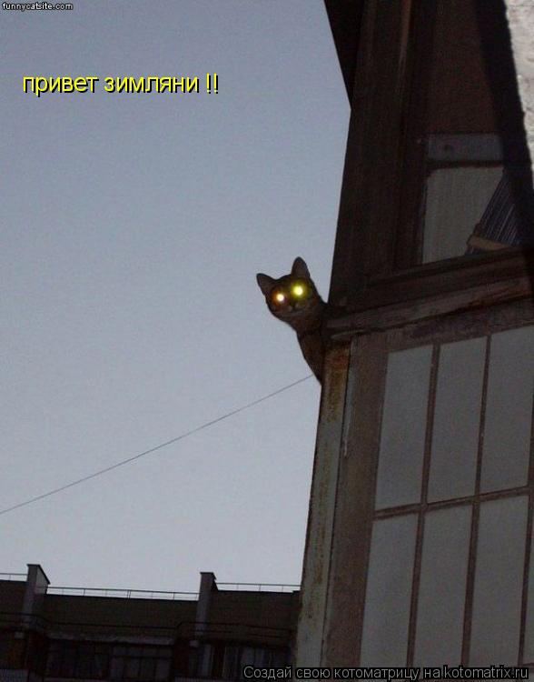 Котоматрица: привет зимляни !!
