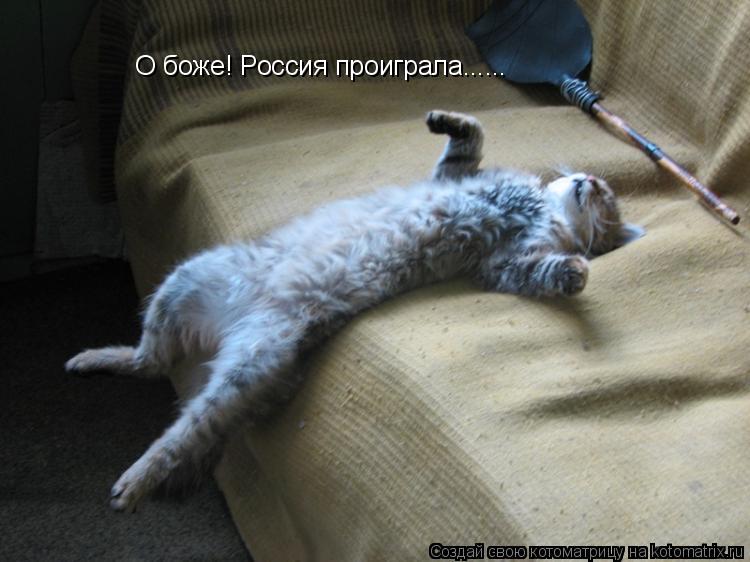 Котоматрица: О боже! Россия проиграла......