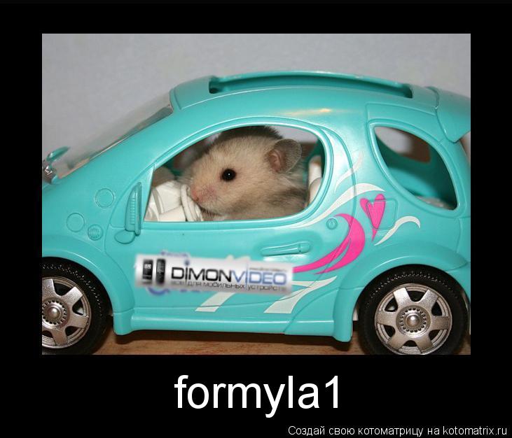 Котоматрица: formyla1