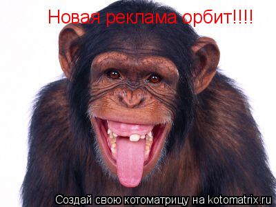 Котоматрица: Новая реклама орбит!!!!