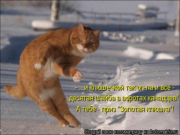 Котоматрица: - ...и клюшечкой так оп-па и всё -  десятая шайба в воротах канадцев! А тебе - приз "Золотая клюшка"!