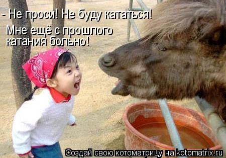 Котоматрица: Мне ещё с прошлого  катания больно! - Не проси! Не буду кататься!