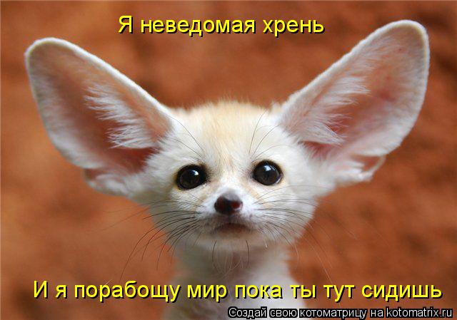 Котоматрица: Я неведомая хрень И я порабощу мир пока ты тут сидишь