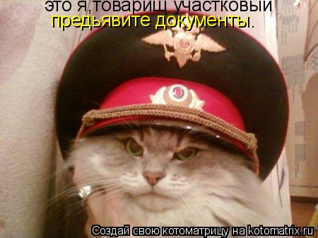 Котоматрица: это я,товарищ участковый предьявите документы.