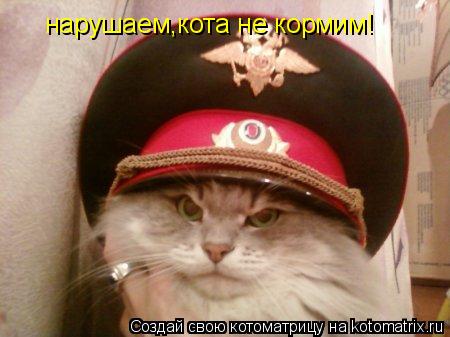 Котоматрица: нарушаем,кота не кормим!