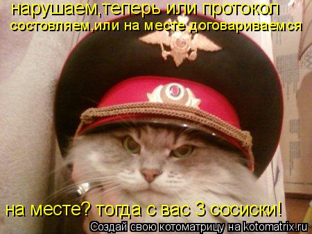Котоматрица: нарушаем,теперь или протокол состовляем,или на месте договариваемся на месте? тогда с вас 3 сосиски!