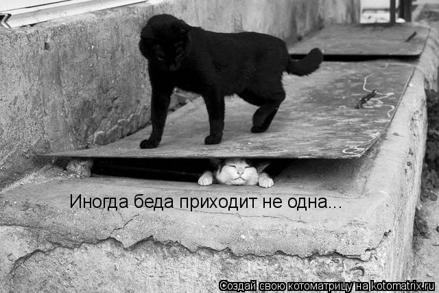 Котоматрица: Иногда беда приходит не одна...