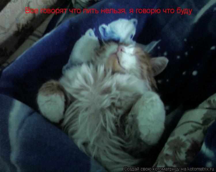 Котоматрица: Все говорят что пить нельзя, я говорю что буду