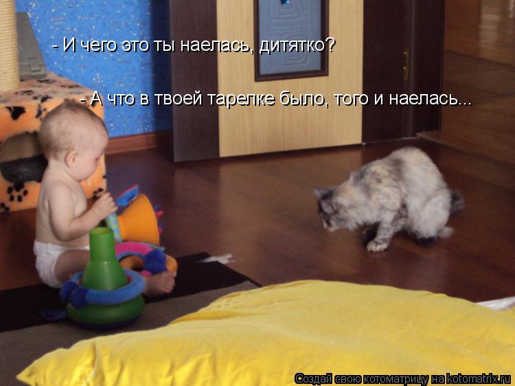 Котоматрица: - И чего это ты наелась, дитятко? - А что в твоей тарелке было, того и наелась... - И чего это ты наелась, дитятко?