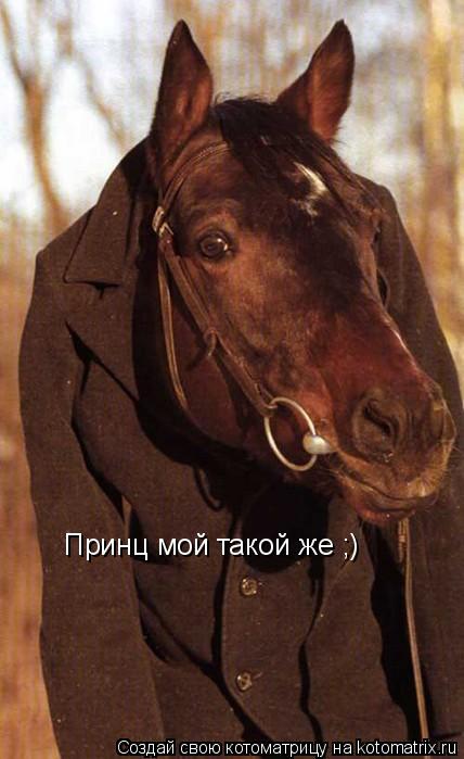 Котоматрица: Принц мой такой же ;)