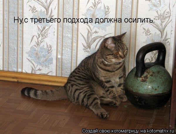 Котоматрица: Ну,с третьего подхода должна осилить.