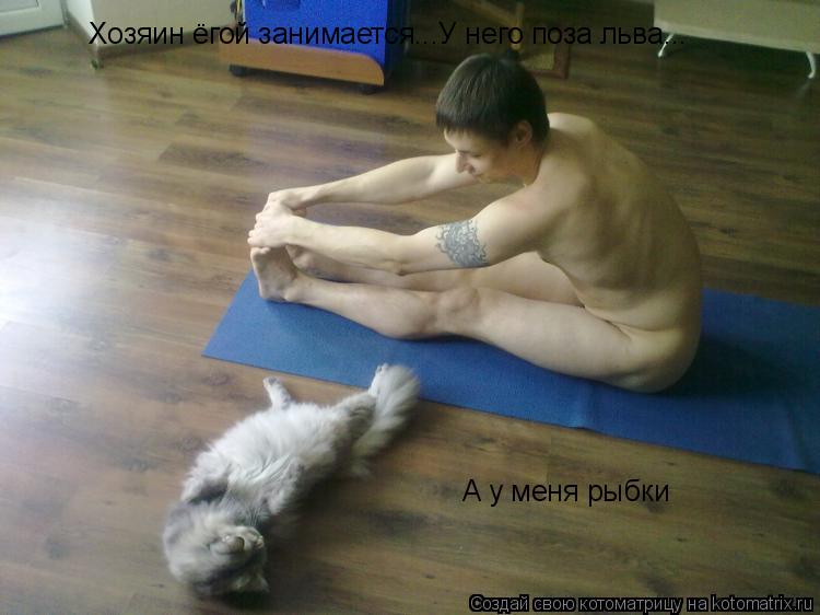 Котоматрица: Хозяин ёгой занимается...У него поза льва... А у меня рыбки