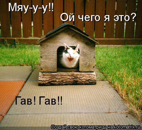 Котоматрица: Мяу-у-у!! Ой чего я это? Гав! Гав!!