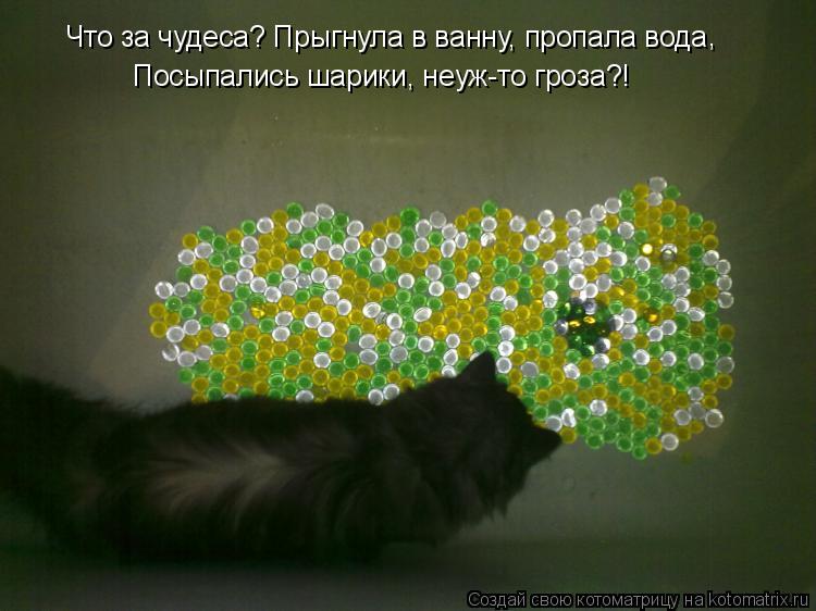 Котоматрица: Что за чудеса? Прыгнула в ванну, пропала вода , Посыпались шарики, неуж-то гроза?!
