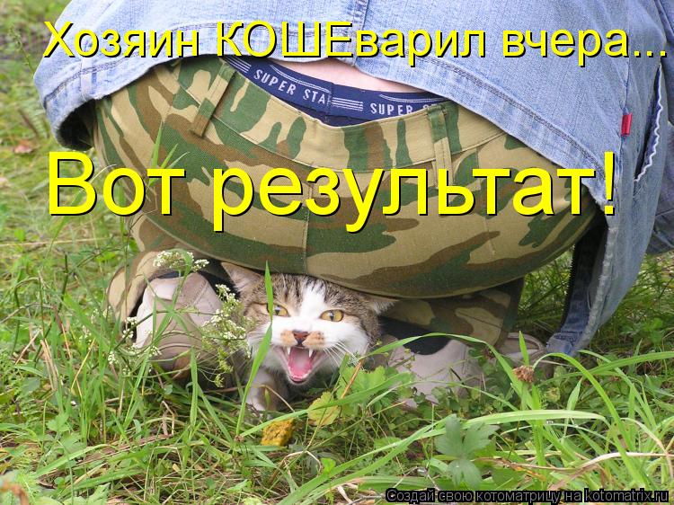 Котоматрица: Хозяин КОШЕварил вчера... Вот результат!