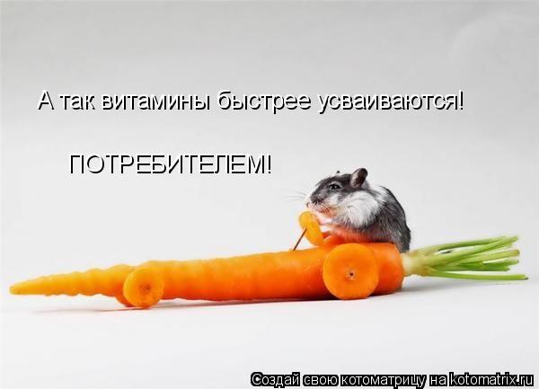 Котоматрица: А так витамины быстрее усваиваются! ПОТРЕБИТЕЛЕМ!