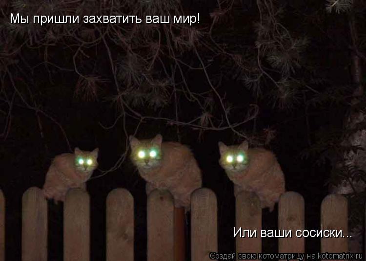 Котоматрица: Мы пришли захватить ваш мир! Или ваши сосиски...