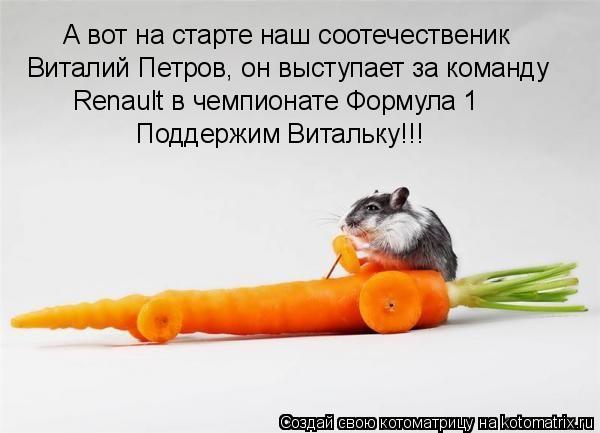 Котоматрица: А вот на старте наш соотечественик Виталий Петров, он выступает за команду Renault в чемпионате Формула 1 Поддержим Витальку!!!