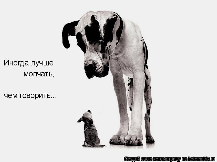Котоматрица: Иногда лучше молчать, чем говорить...