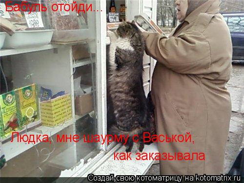 Котоматрица: Людка, мне шаурму с Васькой,  Бабуль отойди... как заказывала