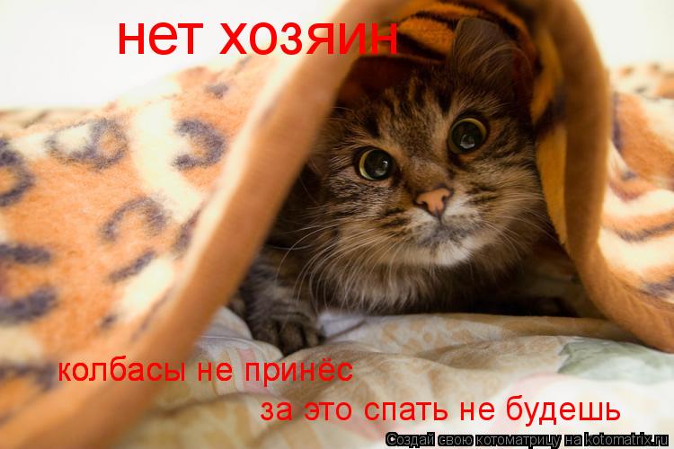 Котоматрица: нет хозяин колбасы не принёс за это спать не будешь колбасы не принёс колбасы не принёс