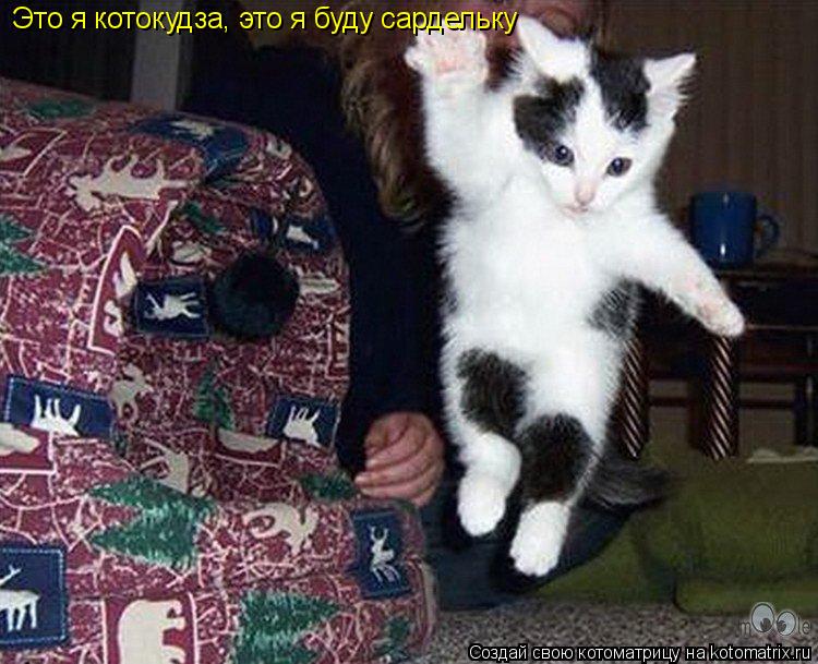 Это я котокудза, это я буду сардельку... Котоматрица: Это я котокудза, это я буду сардельку