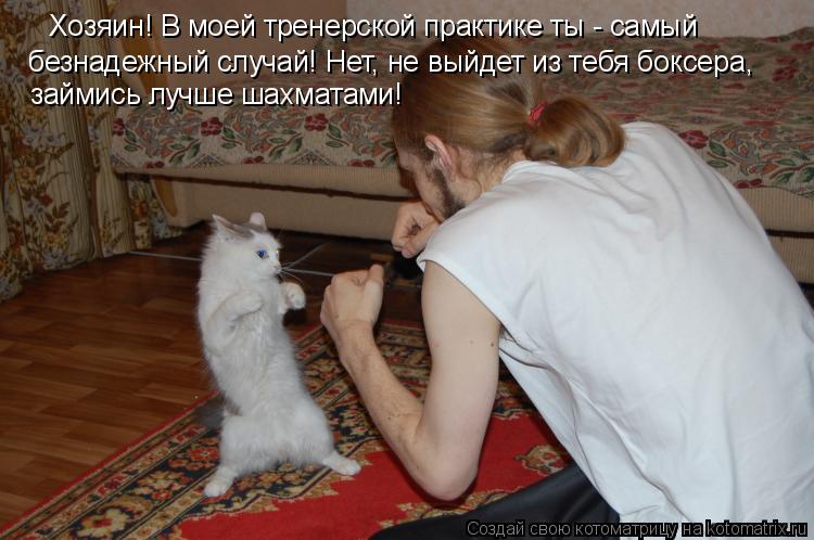 Хозяин! В моей тренерской практике ты - самый безнадежный случай! Нет, не выйдет из тебя боксера, зай... Котоматрица: Хозяин! В моей тренерской практике ты - самый безнадежный случай! Нет, не выйдет из тебя боксера, займись лучше шахматами!