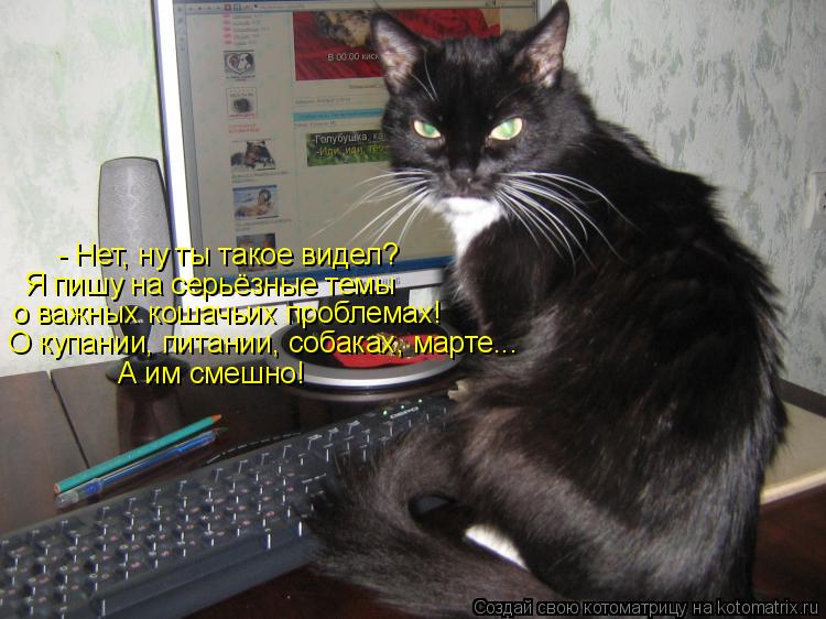 Котоматрица: - Нет, ну ты такое видел? Я пишу на серьёзные темы о важных кошачьих проблемах! О купании, питании, собаках, марте... А им смешно!