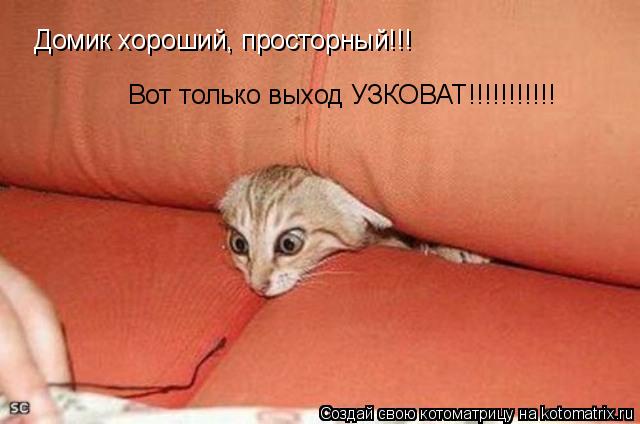 Домик хороший, просторный!!! Вот только выход УЗКОВАТ!!!!!!!!!!!... Котоматрица: Домик хороший, просторный!!! Вот только выход УЗКОВАТ!!!!!!!!!!!