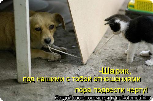 -Шарик, под нашими с тобой отношениями пора подвести черту!... Котоматрица: -Шарик, под нашими с тобой отношениями пора подвести черту!