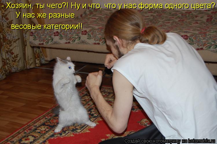 У нас же разные весовые категории!! - Хозяин, ты чего?! Ну и что, что у нас форма одного цвета?... Котоматрица: У нас же разные весовые категории!! - Хозяин, ты чего?! Ну и что, что у нас форма одного цвета?