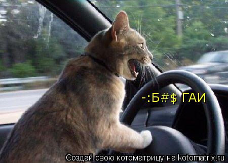 Котоматрица: -:Б#$ ГАИ