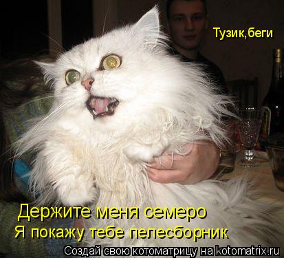 Котоматрица: Держите меня семеро Тузик,беги Я покажу тебе пелесборник
