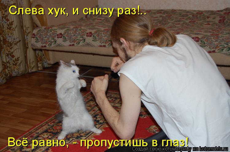 Слева хук, и снизу раз!.. Всё равно, - пропустишь в глаз!... Котоматрица: Слева хук, и снизу раз!.. Всё равно, - пропустишь в глаз!