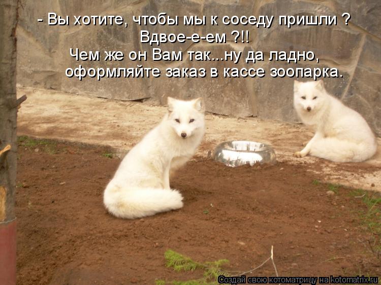 - Вы хотите, чтобы мы к соседу пришли ? Вдвое-е-ем ?!! Чем же он Вам так...ну да ладно, оформляйте за... Котоматрица: - Вы хотите, чтобы мы к соседу пришли ? Вдвое-е-ем ?!! Чем же он Вам так...ну да ладно, оформляйте заказ в кассе зоопарка.