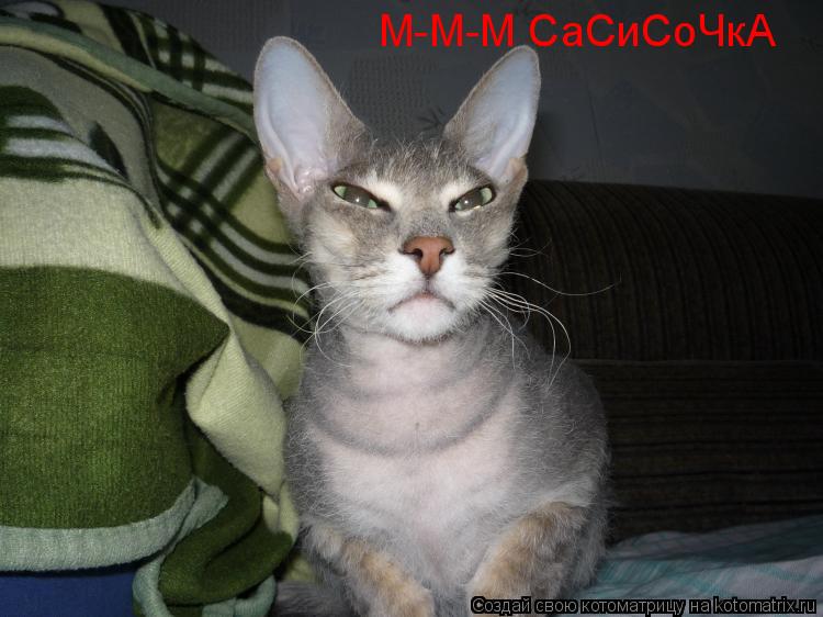 Котоматрица: М-М-М СаСиСоЧкА