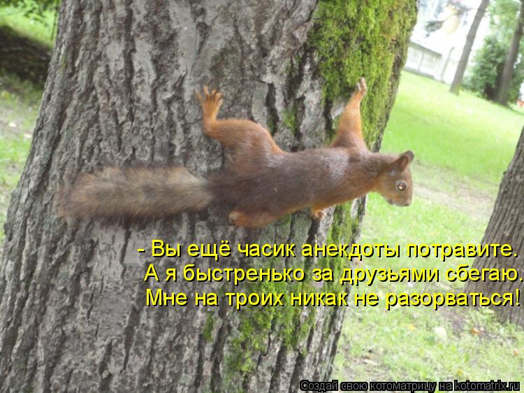 - Вы ещё часик анекдоты потравите. А я быстренько за друзьями сбегаю. Мне на троих никак не разорвать... Котоматрица: - Вы ещё часик анекдоты потравите. А я быстренько за друзьями сбегаю. Мне на троих никак не разорваться!