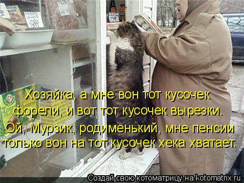 Хозяйка, а мне вон тот кусочек форели, и вот тот кусочек вырезки. Ой, Мурзик, родименький, мне пенси... Котоматрица: Хозяйка, а мне вон тот кусочек форели, и вот тот кусочек вырезки. Ой, Мурзик, родименький, мне пенсии только вон на тот кусочек хека хватает.